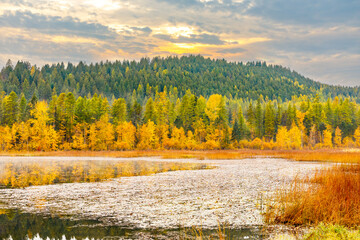 Wall Mural - peaceful autumn scene of Blanchard Lake in northwest Montana with colorful fall foliage and sunset sky in background