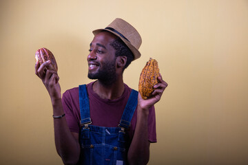 An african farmer looks with satisfaction at his freshly harvested cocoa pods, photo in the studio.