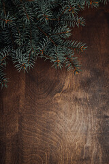 Wall Mural - spruce branch on a wooden background
