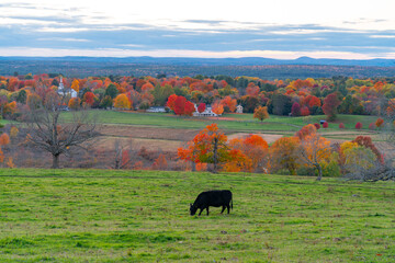 Wall Mural - landscape of autumn pasture and town in colorful forest
