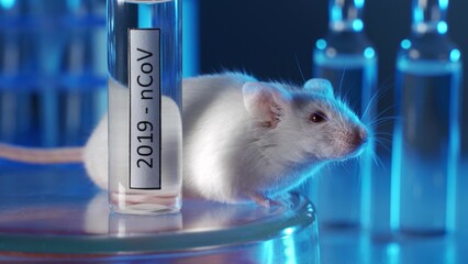 Wall Mural - White laboratory mouse with a vial of vaccine or medicine for coronavirus. The concept is the development and testing of a vaccine or drug for the treatment of coronavirus. Animal Drug Testing