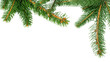 fir branches isolated for Christmas backgrounds