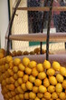 Fête du citron à Menton