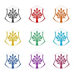 Wall Mural - Tree shield icon isolated on white background. Set icons colorful