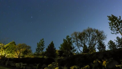 Wall Mural - Time Lapse Lockdown Tranquil View Of Trees On Mountain Against Starry Sky - Las Vegas, California