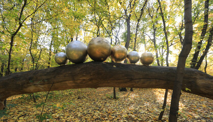 Canvas Print - autumn forest with fallen leaves,decorative golden balls