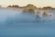 canvas print picture - Nebelmorgen im Moor in der Nähe von Uffing, Oberbayern, Bayern, Deutschland