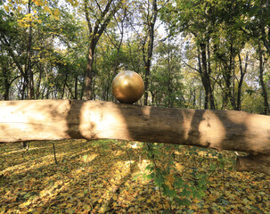 Sticker - autumn forest with fallen leaves,decorative golden balls