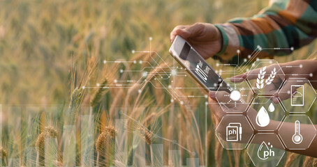 Wall Mural - Smart farming concept. Farmer with technology digital tablet on background of wheat field. Professional farmers use internet of things (IOT) computers system to manage farms. agriculture modern idea.