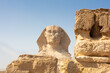 Egyptian Great Sphinx full body portrait with head, feet with all pyramids of Menkaure, Khafre, Khufu in background on a clear, blue sky day in Giza, Egypt empty with nobody.