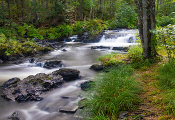 Wall Mural - Beautiful stream and waterfall in Maine