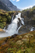 Wodospad kwiaty Norwegia zieleń