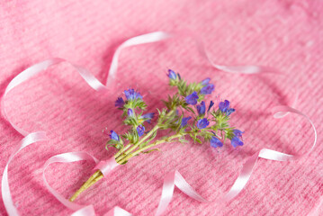 Sticker - Flowers and ribbon on a pink background. Card.