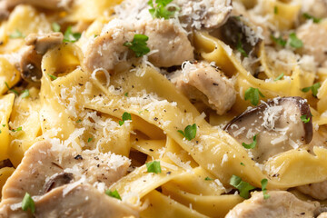 Creamy Alfredo pasta with chicken, mushrooms and parmesan cheese. Healthy Italian food