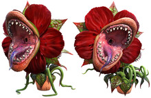 Carnivorous Plant About To Attack 3D Illustration	