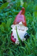 garden gnome