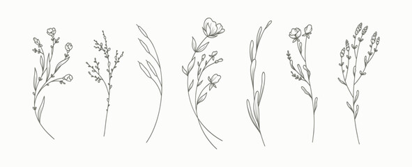 minimal hand drawn floral botanical line art. trendy elements of wild and garden plants, branches, l