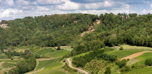 Wall Mural - Vignes du Jura