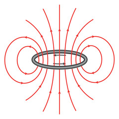 The magnetic field lines of a circular current loop. Scientific vector illustration isolated on white background.