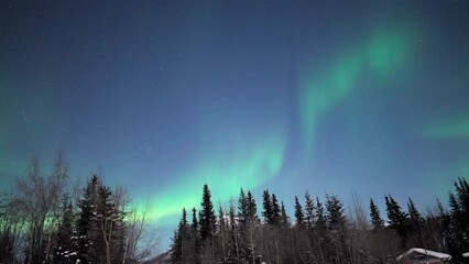 low angle shot of the beautiful aurora borealis lights over a snowy mountain in wiseman, alaska