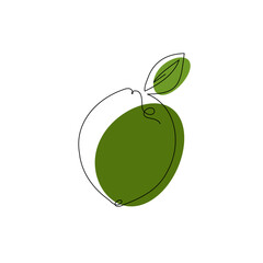 Wall Mural - Lime fruit in continuous line drawing style. Black line sketch on a white background. Vector illustration