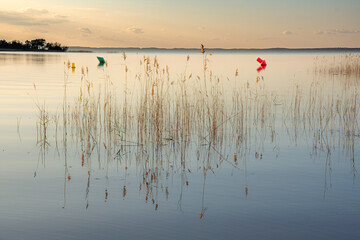 Coucher de soleil sur les roseaux du lac