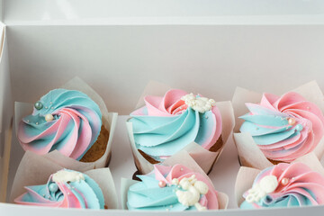 Wall Mural - Set of vanilla cupcakes with whipped pink and blue cream cheese tops in the white gift box.