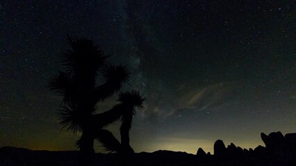 Wall Mural - Lockdown Time Lapse Shot Of Sparkling Stars Moving Over Rocks At Joshua Tree National Park During Night
