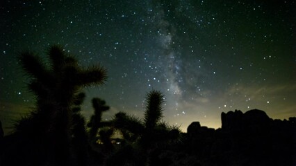 Wall Mural - Time Lapse Shot Of Silhouette Glowing Stars Moving Over Rocks And Plants During Night - Joshua Tree, California