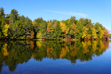 New England Fall Colors Reflecting In A Lake