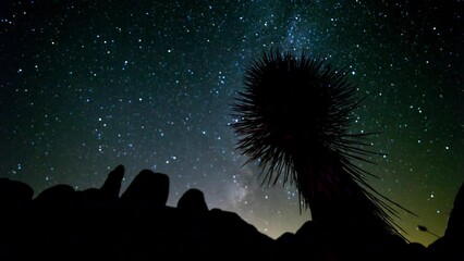 Wall Mural - Time Lapse Panning Shot Of Silhouette Glowing Stars Moving Over Rocks During Night - Joshua Tree, California