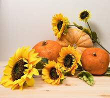 Three Yellow-orange Pumpkins And Sunflowers On A Light Wooden Surface, Halloween And Autumn Harvest Concept, Farm Product
