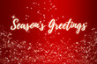 Season's greetings text on red background. Christmas celebration concept