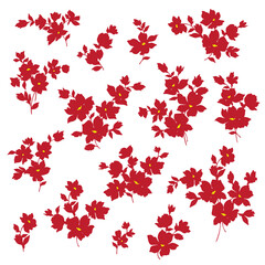 Wall Mural - Beautiful flower illustration material collection,