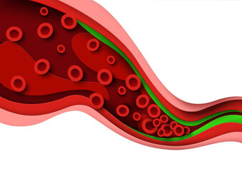 Cholesterol blood artery vessel, vein 3d anatomy