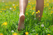 © Antonioguillem - Close up of a woman bare feet walking on the grass