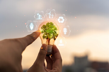 Wall Mural - hand holding light bulb,natural energy and love the world concept. icons energy sources for renewabl