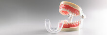 Human Tooth Model, Teeth Orthodontic Dental Model Or Human Jaw, Mouthpiece