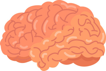 Wall Mural - Icon various brain graphic element. PNG