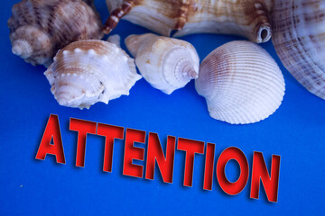 Poster - Animal Shell, Summer vacation, marine background with Attention text.