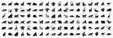 Fototapeta Big Ben - Animals logos collection. Animal logo set. Isolated on White background	