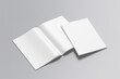 © graphicsecond - Brochure Catalog Blank Mockup