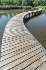 Wall Mural - Wooden trail over pond in Hong Kong wetland park