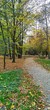 autumn in the park
Jesień w parku