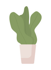 Poster - Houseplant with long leaves semi flat color vector object. Editable element. Full sized item on white. Botany simple cartoon style illustration for web graphic design and animation