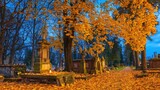 Fototapeta  - Rakowice w jesienny listopadowy wieczór - płonące znicze