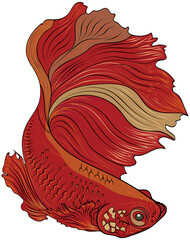 Wall Mural - Hand drawn illustration of betta fish.