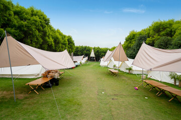 Wall Mural - The campsite in the forest is covered with tents