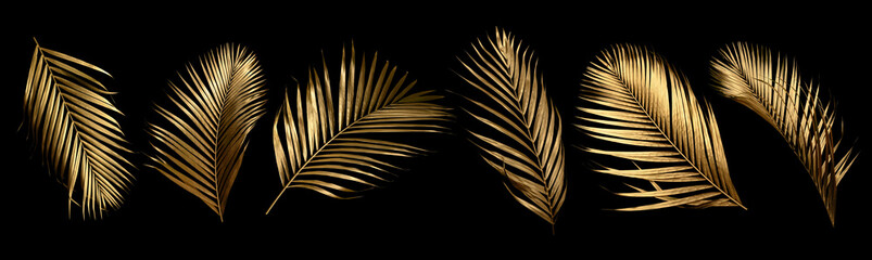 set of golden coconut leaves isolated on black background