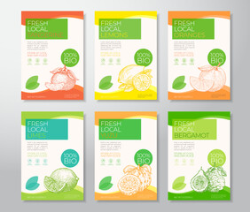 Wall Mural - Fresh Local Citrus Fruits Label Templates Collection. Abstract Vector Packaging Design Layouts Set. Modern Typography Banner with Hand Drawn Fruits Sketch Silhouettes Backgrounds Isolated